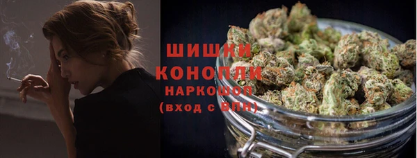 спиды Магас