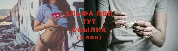 спиды Майский