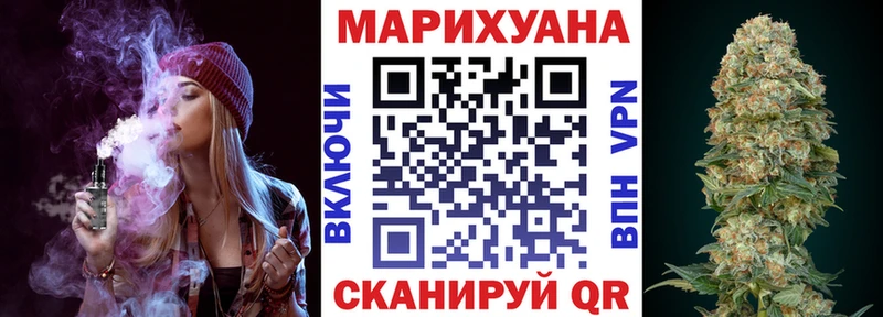 закладки  Сясьстрой  Конопля тримм 